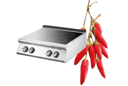 INDUKTIONSHERDE – SERIE 900